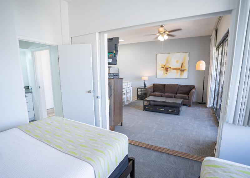 One-Bedroom Apartment image 2