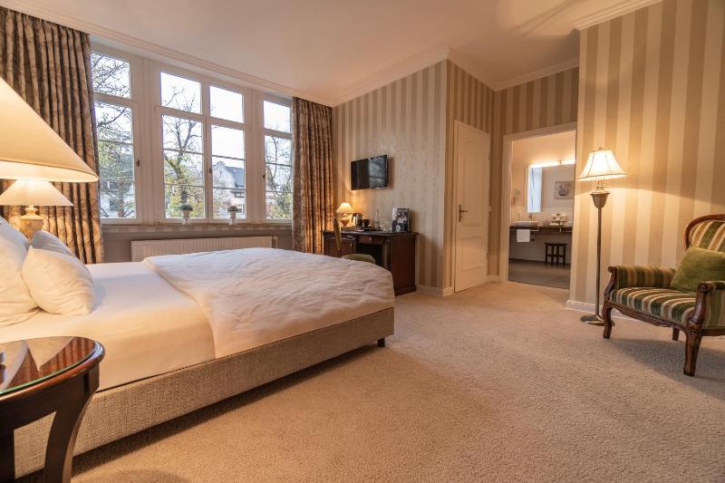 Deluxe Double Room image 4