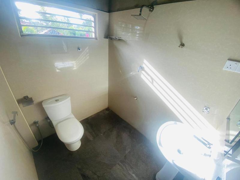 papa house - image 15