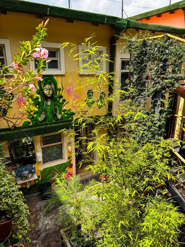 The Secret Garden - image 13