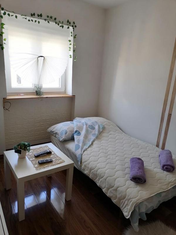 Small low cost studio Dorcol - image 8