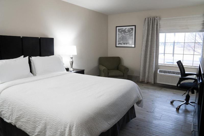 Standard King Room image 4
