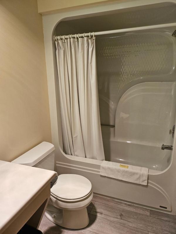 King Suite image 4