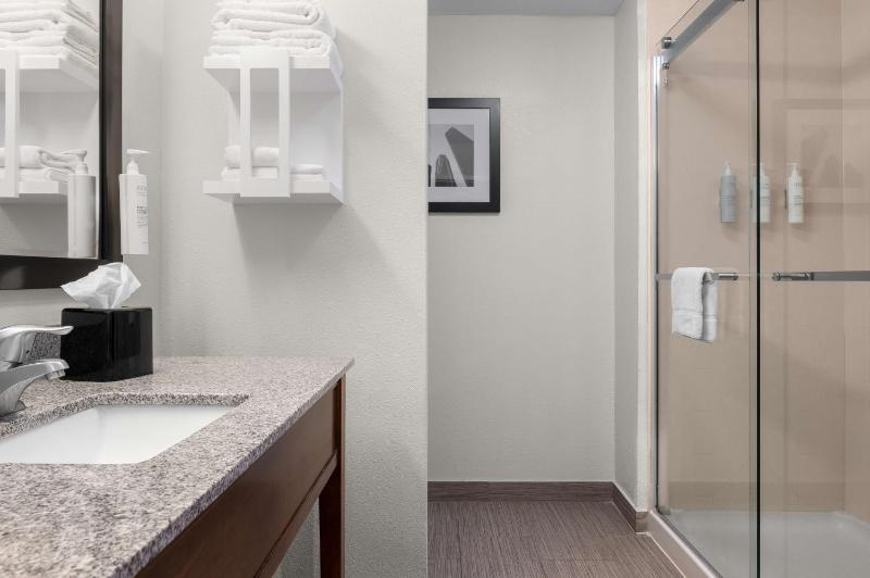 King Studio Suite - Non Smoking image 3