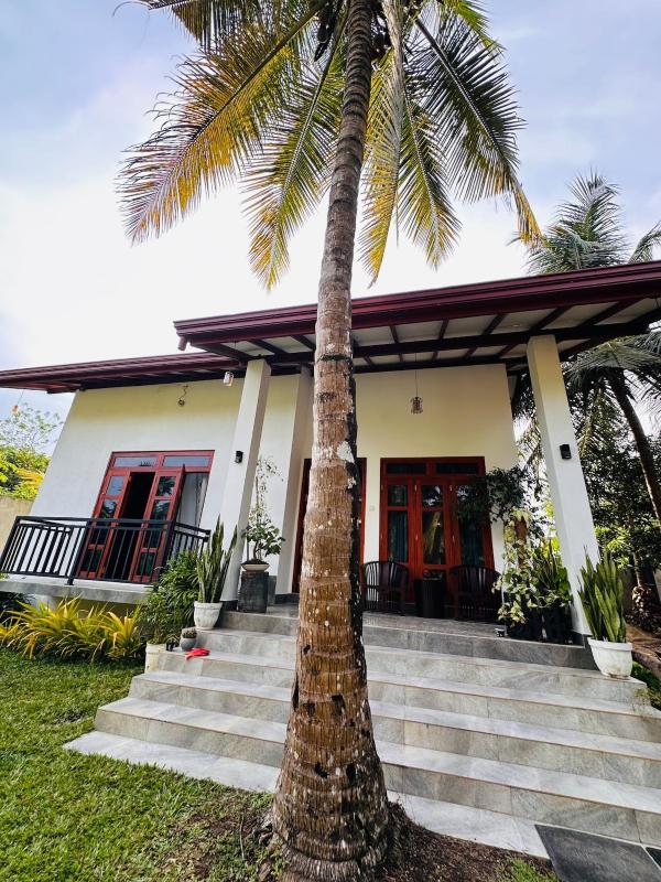 Pure Nature Home - image 1