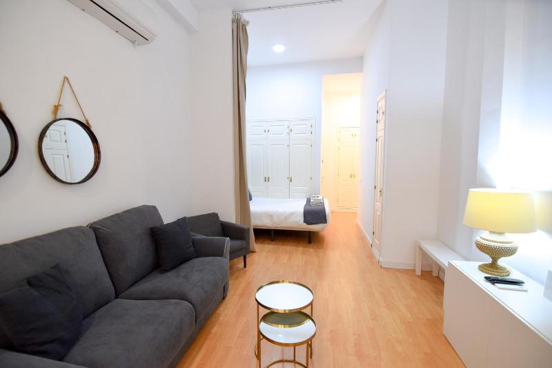 Letmalaga Souviron Studio - image 11