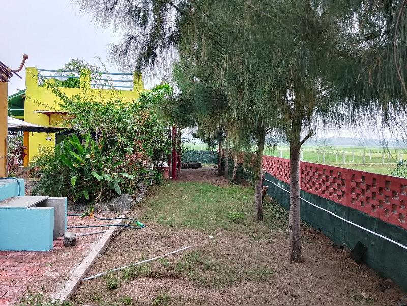 Coral House - image 12