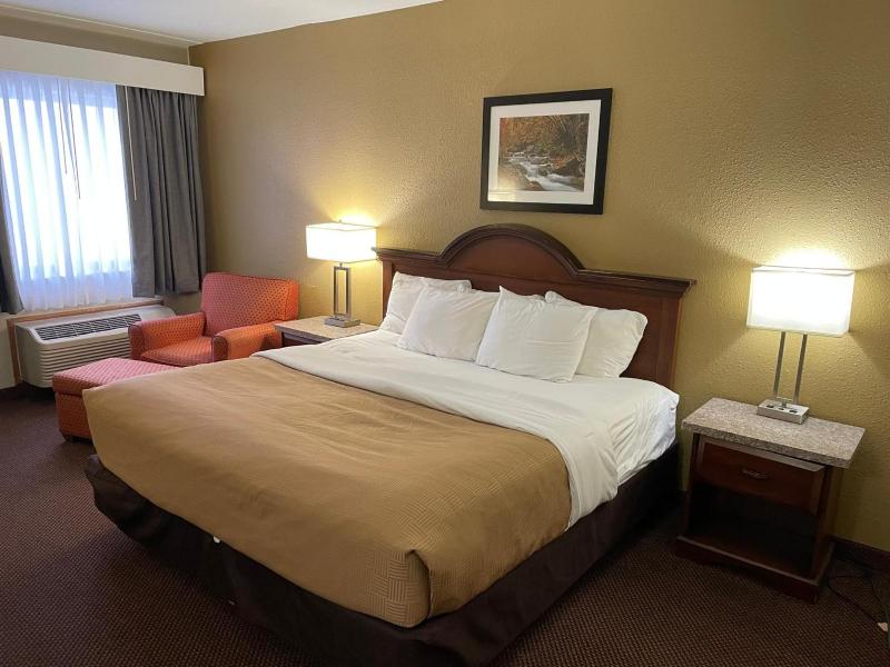 King Room image 4