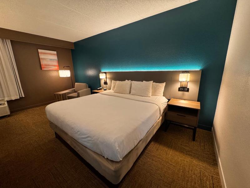 Standard King Room - Non Smoking image 1