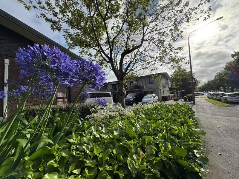 Abbey Motor Lodge - image 4