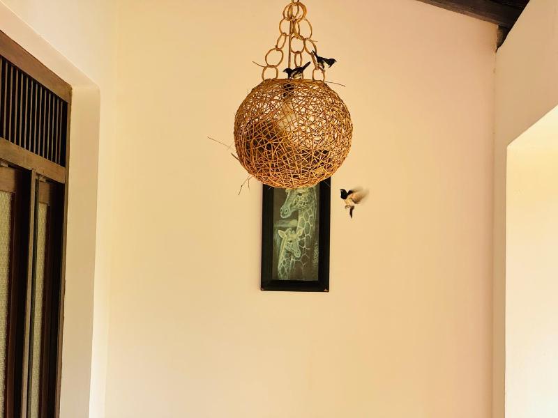 Shanthi Boutique Villa - image 47