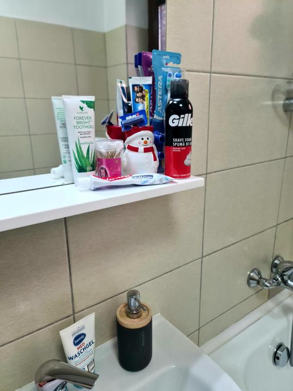Apartament Gradina Botanica PREMIUM - image 9