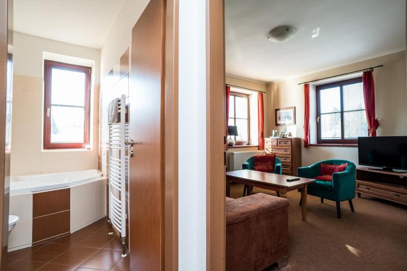 Deluxe Suite image 4