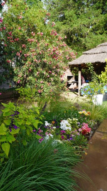 Quinta Coco - image 16