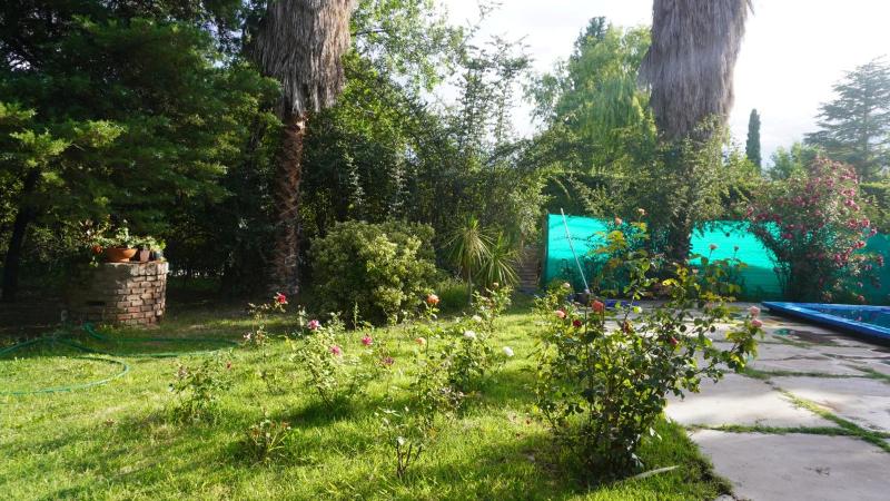 Quinta Coco - image 7