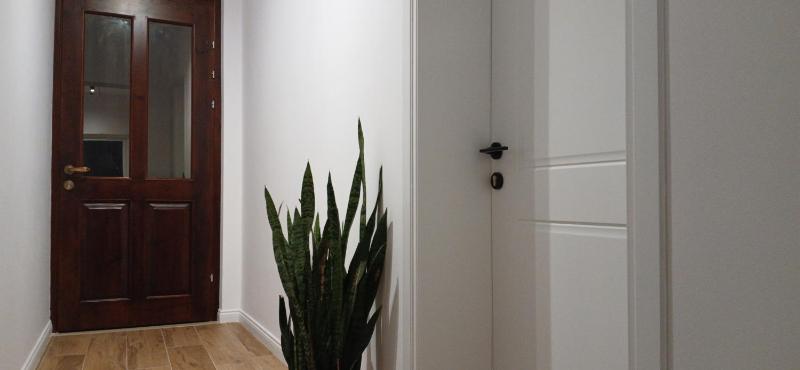 Citrus Nest - image 13