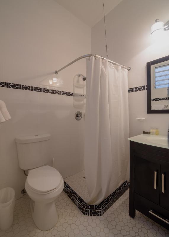 Newly Renovated Apartment image 2