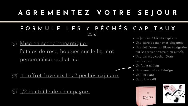 ROMEO 300 m du lac jacuzzi garage - image 6