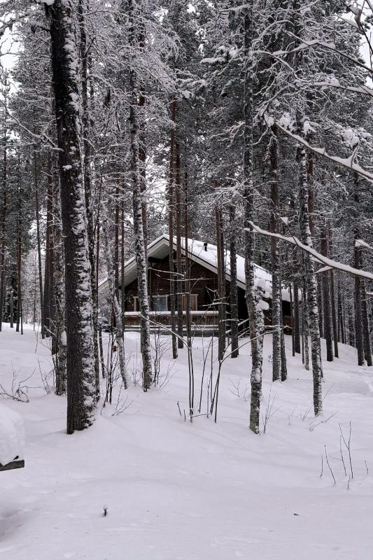 Holiday Cabin Aurora River inc Wilderness Sauna - image 40