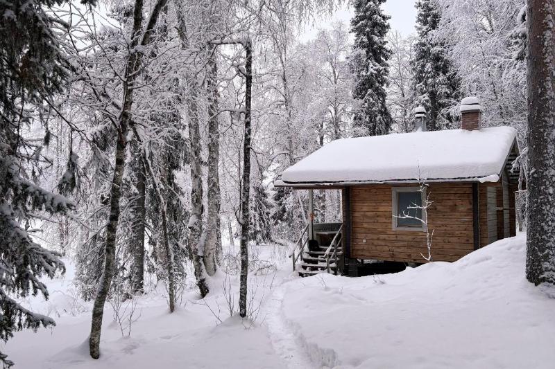 Holiday Cabin Aurora River inc Wilderness Sauna - image 18
