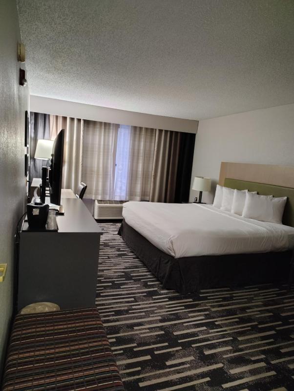 King Room - Disability Access image 2