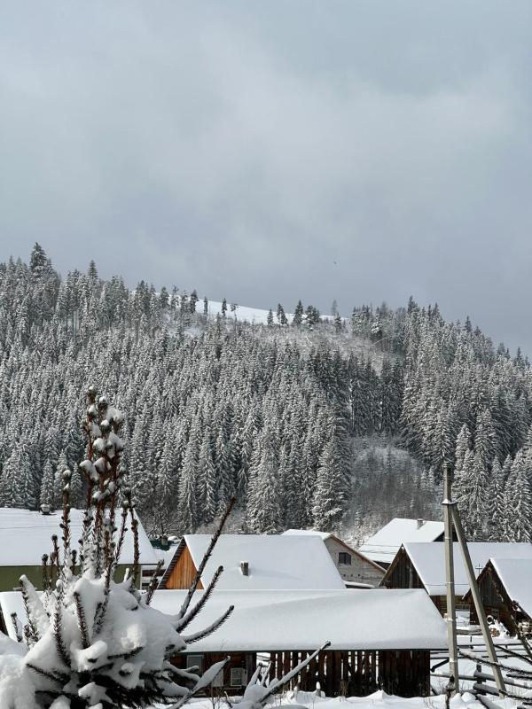 Aura Karpat - image 8