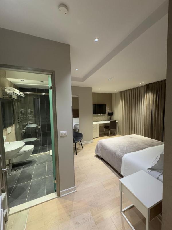 Deluxe Double Room image 2