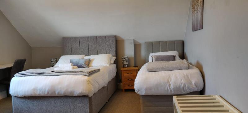 Deluxe Double or Twin Room with City View image 1