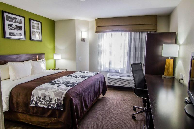 King Room - Non-Smoking image 3