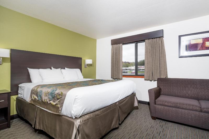 Deluxe King Suite - Non-Smoking image 2