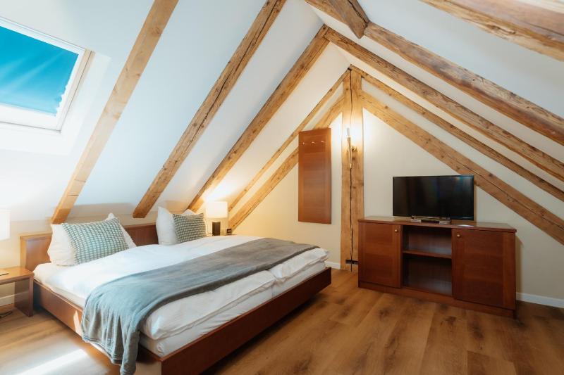 Standard Suite image 4