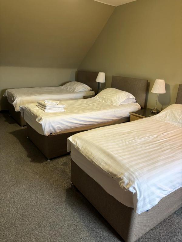 Deluxe Triple Room image 3