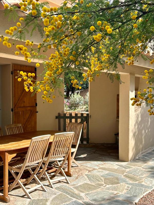 Three-Bedroom Villa with Mezzanine - Villa Bocca image 1