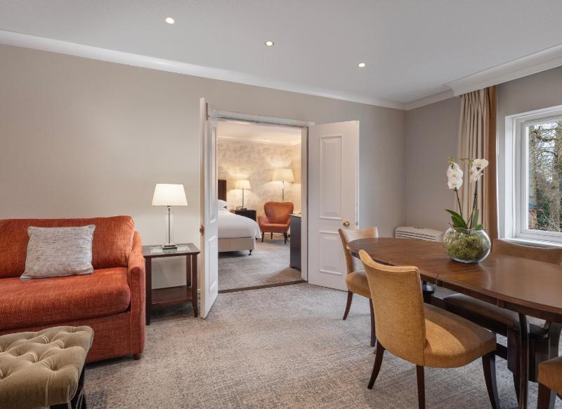 One-Bedroom King Suite with Sofa Bed  image 1
