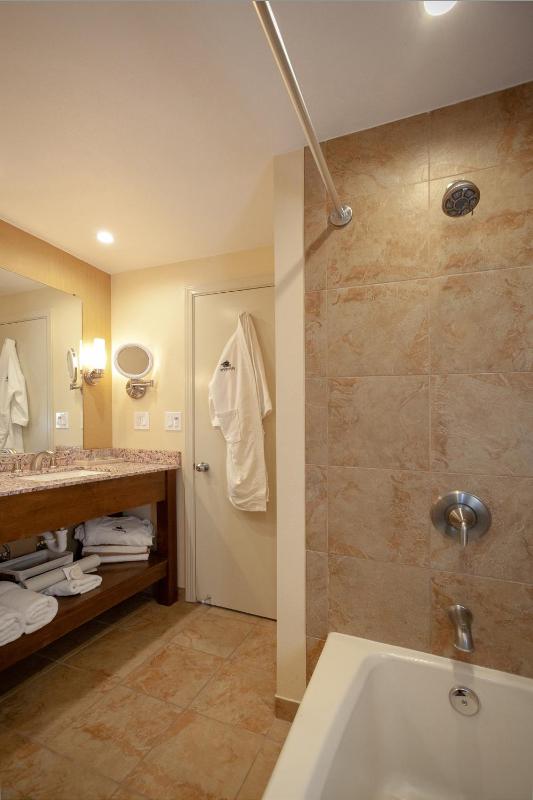 Deluxe Queen Room image 4