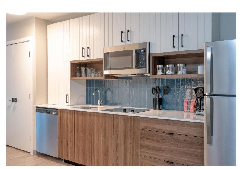 King Studio Suite image 4