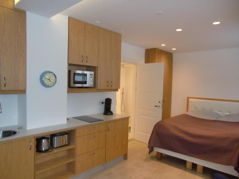 Next Apartment Bergstadastræti - image 12