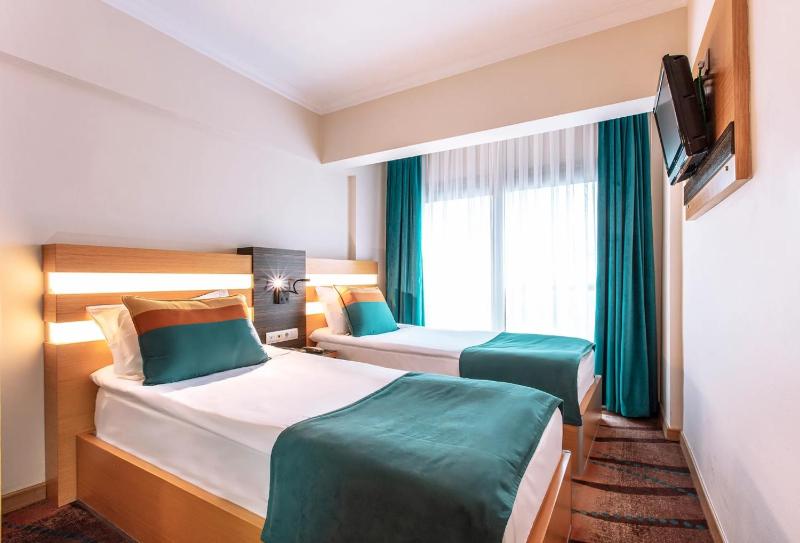 Standard Twin Room image 1