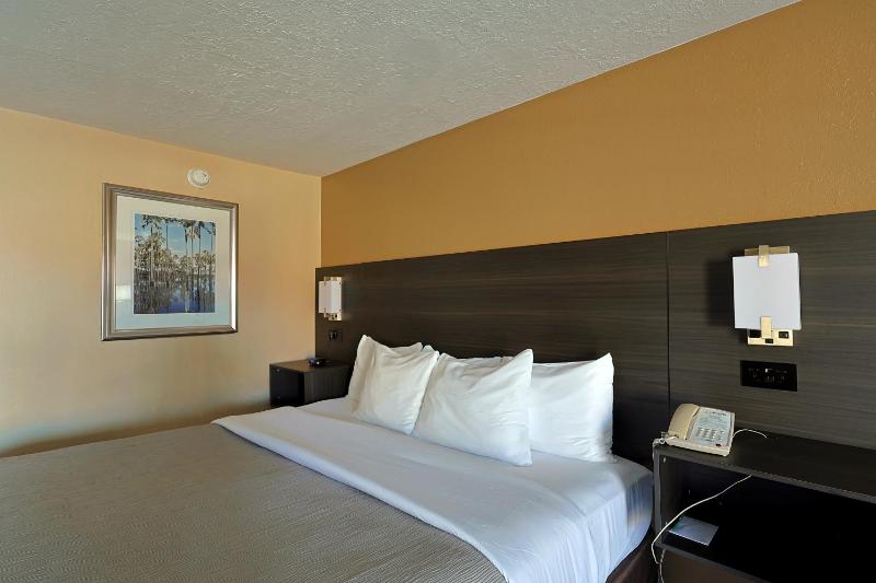 King Room - Non-Smoking image 3