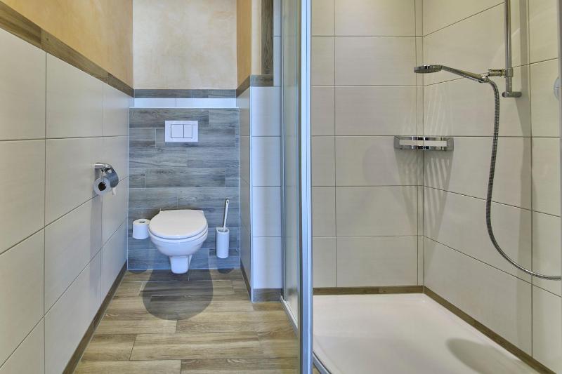 One-Bedroom Apartment image 4