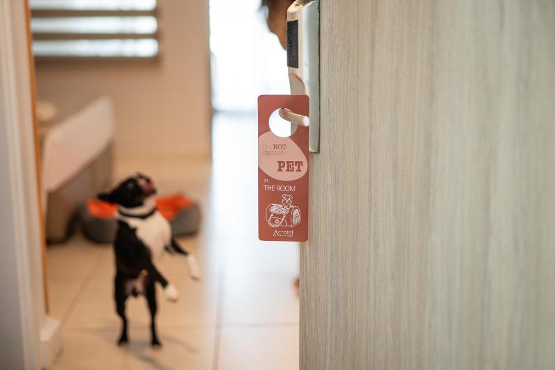 Armonia Suite image 1