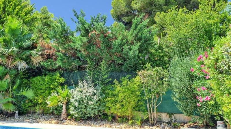 Villa spacieuse à Agde avec piscine et jardin. - image 8