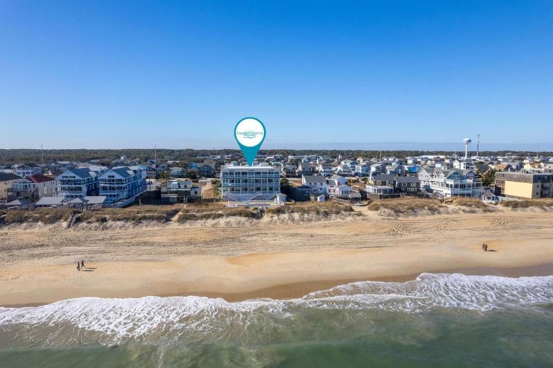 SEV405 The Sand Dollar - image 9