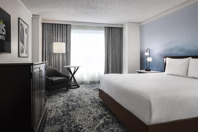 Deluxe King Room image 1