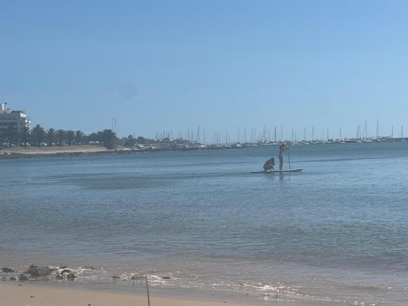 Frente al Mar Servicio de Playa Playa Mansa A pasos de Gorlero y Puerto Garage Limpieza diaria - image 11