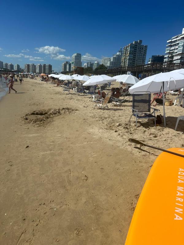 Frente al Mar Servicio de Playa A pasos de Gorlero y Puerto Garage Limpieza diaria - image 13