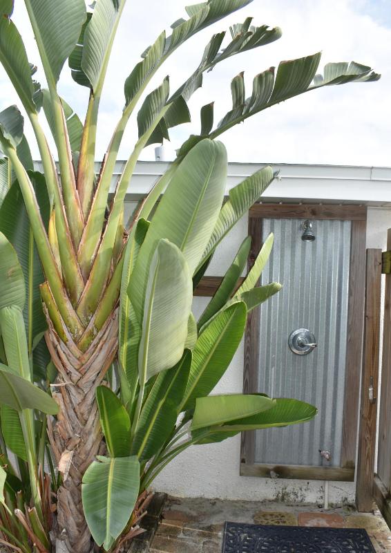Cottage Four DIRECT OCEANFRONT Romantic Cottage Best Beach - Walk to Restaurants - Downtown only 5 Miles - image 16