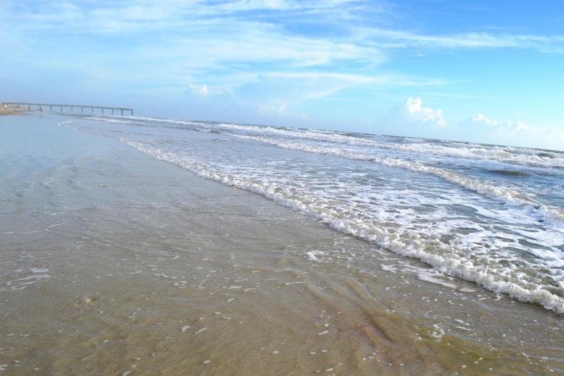 Cottage Four DIRECT OCEANFRONT Romantic Cottage Best Beach - Walk to Restaurants - Downtown only 5 Miles - image 14
