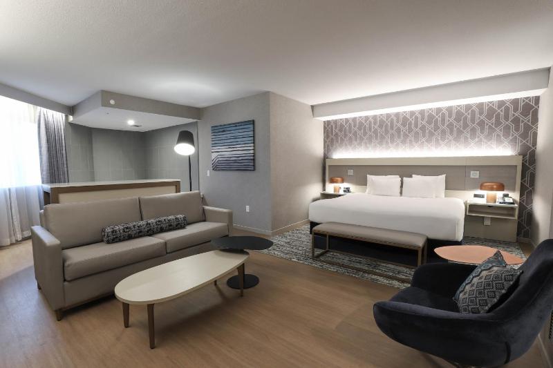 1 King Bed, 1 Room Suite, Jacuzzi image 4