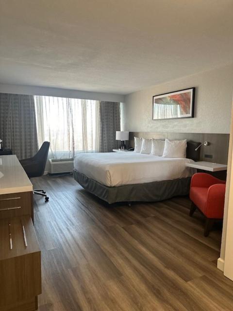 King Room image 2